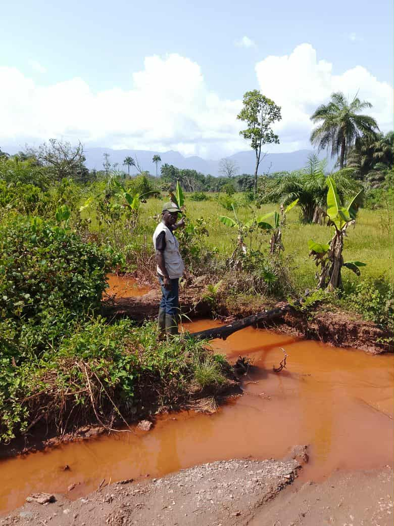 Cavalla River Floodplain Farm Land – Pic 1